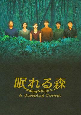 沉睡的森林2014